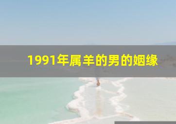 1991年属羊的男的姻缘,1991年属羊的男的姻缘在哪一年