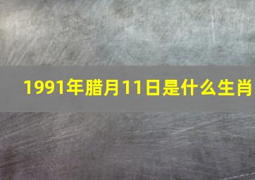 1991年腊月11日是什么生肖