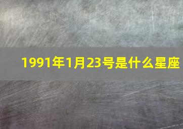 1991年1月23号是什么星座,1991年1月23日出生