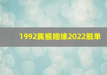 1992属猴姻缘2022脱单,