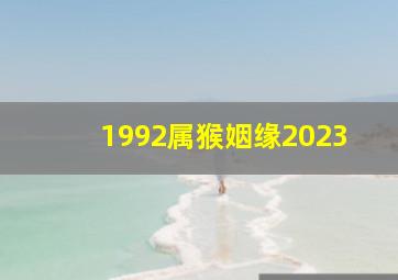 1992属猴姻缘2023,1992年属猴人2023年感情运怎样月德助运事业高涨