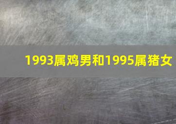 1993属鸡男和1995属猪女,1993属鸡男和1995属猪女婚姻相合吗