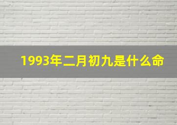 1993年二月初九是什么命