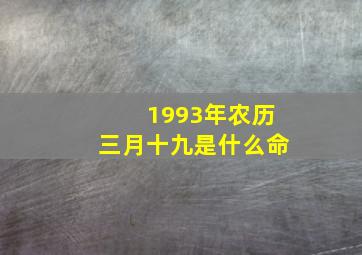 1993年农历三月十九是什么命,1993年农历3月19日出生的人命运