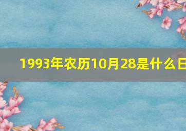 1993年农历10月28是什么日,农历1993年10月28日出生是什么星座