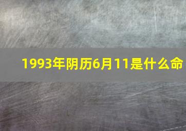 1993年阴历6月11是什么命,1993年6月11日早上8点45分什么命