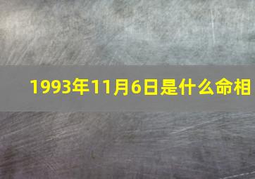 1993年11月6日是什么命相,1993年11月6日生辰八字