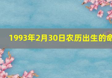 1993年2月30日农历出生的命,农历1993年2月17日23点30分男命运如何