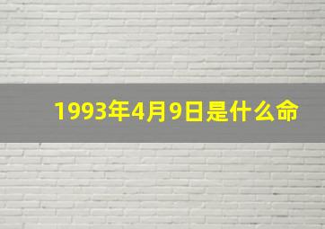 1993年4月9日是什么命,1993年4月9号