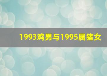 1993鸡男与1995属猪女,1993属鸡男和1995属猪女