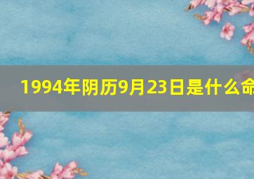 1994年阴历9月23日是什么命,1994年阳历9月23号是农历多少