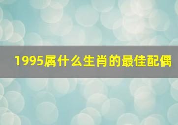 1995属什么生肖的最佳配偶