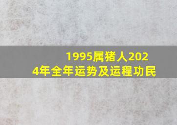 1995属猪人2024年全年运势及运程功民,1995属猪的2024年运势怎么样