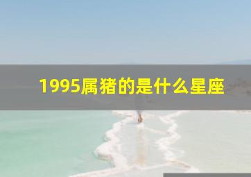 1995属猪的是什么星座,1995属猪的是什么星座男