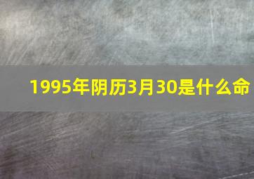 1995年阴历3月30是什么命,1995年农历三月三十是什么命