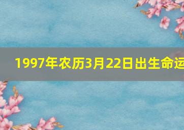 1997年农历3月22日出生命运,1997年农历3月22日是什么命