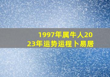 1997年属牛人2023年运势运程卜易居,属牛的人2023年运势及运程详解