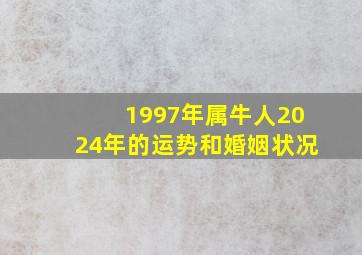 1997年属牛人2024年的运势和婚姻状况,1997年属牛2024年运势及运程