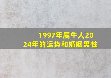 1997年属牛人2024年的运势和婚姻男性,1997年属牛人2024年的运势和婚姻男性运势