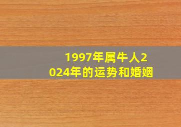 1997年属牛人2024年的运势和婚姻