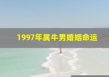 1997年属牛男婚姻命运,97年属牛男今年婚姻运势婚姻搭配如何