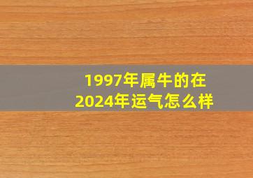1997年属牛的在2024年运气怎么样,1997属牛人24岁的整体运程