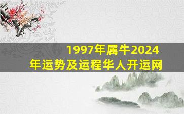 1997年属牛2024年运势及运程华人开运网,1997年属牛24岁2024命运