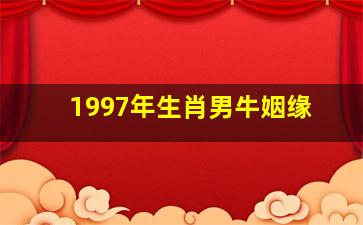 1997年生肖男牛姻缘,1997年属牛姻缘在哪年