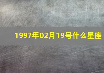 1997年02月19号什么星座,1997年2月19日是什么