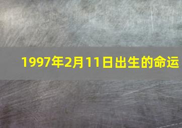 1997年2月11日出生的命运,1997年2月11日属什么