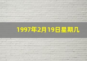 1997年2月19日星期几,1997年2月19日阳历是什么星座