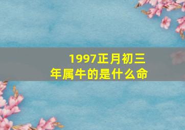 1997正月初三年属牛的是什么命,1997年正月初三出生的人