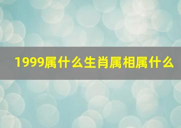 1999属什么生肖属相属什么,1999年属什么生肖