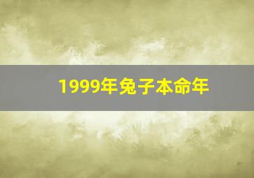 1999年兔子本命年