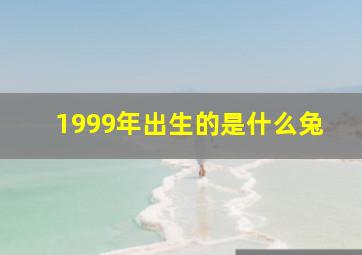 1999年出生的是什么兔,1999年属什么生肖兔