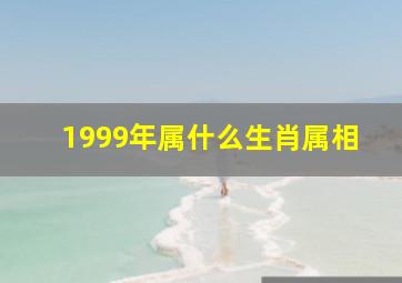 1999年属什么生肖属相,1999年的属相是什么