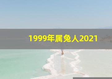 1999年属兔人2021,1999年属兔人2021年运势男性99年23岁属兔男2021年全年运势