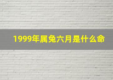 1999年属兔六月是什么命