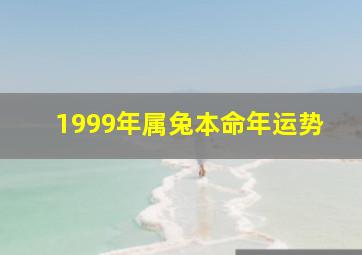 1999年属兔本命年运势,1999年属兔人2023年运势及运程