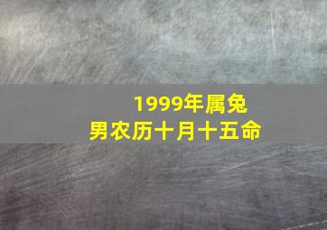 1999年属兔男农历十月十五命,1999年农历10月15日