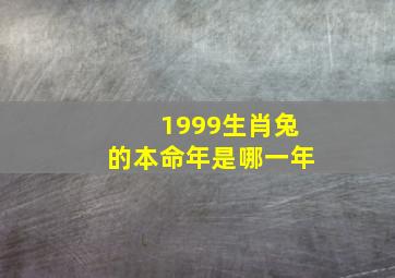 1999生肖兔的本命年是哪一年,1999属兔本命年是哪一年