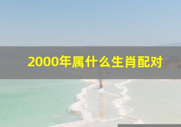 2000年属什么生肖配对,2000年属什么生肖配对最好最佳