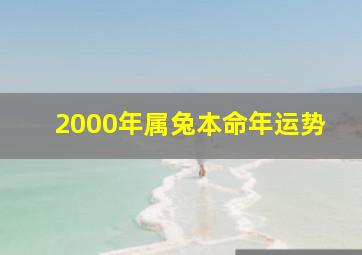 2000年属兔本命年运势,属兔人将来三年运势