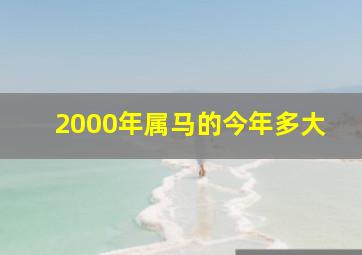 2000年属马的今年多大,