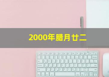 2000年腊月廿二,2000年腊月22