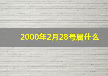 2000年2月28号属什么,2000年2月28日生在2015年的运势