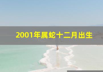 2001年属蛇十二月出生,2001年属蛇十二月出生命运如何