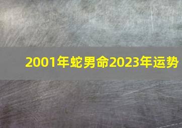 2001年蛇男命2023年运势,2023年属蛇人怎么样会有好运气吗