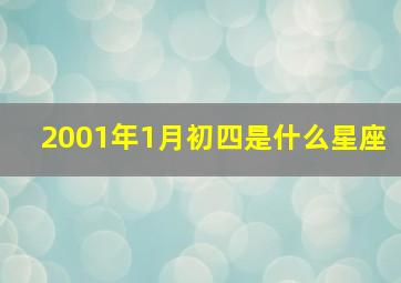 2001年1月初四是什么星座,2001年农历1月4号是什么命