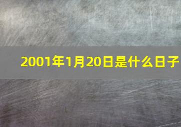 2001年1月20日是什么日子